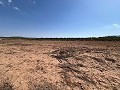 Gran Parcela de Terreno con Olivos in  Dream Villas Alicante