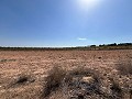 Gran Parcela de Terreno con Olivos in  Dream Villas Alicante