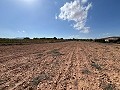 Gran Parcela de Terreno con Olivos in  Dream Villas Alicante