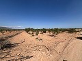 Gran Parcela de Terreno con Olivos in  Dream Villas Alicante