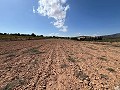 Gran Parcela de Terreno con Olivos in  Dream Villas Alicante