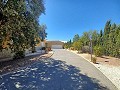 Casa grande en pueblo cerca de Pinoso y Monovar in  Dream Villas Alicante