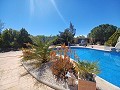 Casa grande en pueblo cerca de Pinoso y Monovar in  Dream Villas Alicante