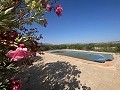 Tranquila villa Pinoso de 3 dormitorios in  Dream Villas Alicante