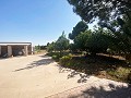 Tranquila villa Pinoso de 3 dormitorios in  Dream Villas Alicante