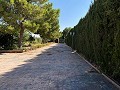 Tranquila villa Pinoso de 3 dormitorios in  Dream Villas Alicante