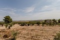 Atemberaubende freistehende Villa in Yecla mit Pool und Garage in  Dream Villas Alicante