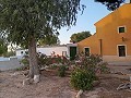 3 værelses renoveret hus Yecla in  Dream Villas Alicante