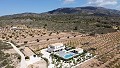 Storslået villa med 5 soveværelser og 4 badeværelser in  Dream Villas Alicante