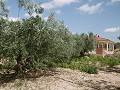 Tolle Villa 4 km von Yecla entfernt in  Dream Villas Alicante