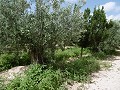 Tolle Villa 4 km von Yecla entfernt in  Dream Villas Alicante