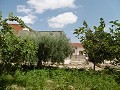 Tolle Villa 4 km von Yecla entfernt in  Dream Villas Alicante