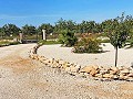 3 Bedroom 2 Bathroom Villa Pinoso in  Dream Villas Alicante