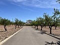 Stunning Detached Villa with Pool in Pinoso in  Dream Villas Alicante