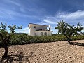 Stunning Detached Villa with Pool in Pinoso in  Dream Villas Alicante