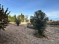 Schönes Landhaus mit großem Padelplatz in  Dream Villas Alicante
