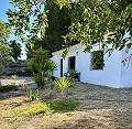 Schönes Landhaus mit großem Padelplatz in  Dream Villas Alicante