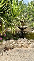 Schönes Landhaus mit großem Padelplatz in  Dream Villas Alicante