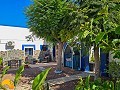 6 Bedroom 5 Bathroom Finca Catral in  Dream Villas Alicante
