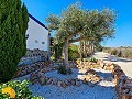 6 Bedroom 5 Bathroom Finca Catral in  Dream Villas Alicante