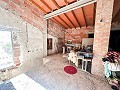 Immense maison à la campagne avec parcelles à Pinoso in  Dream Villas Alicante