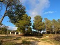 Gran casa de campo in  Dream Villas Alicante