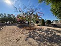 Stunning Mansion with Private Swimming Pool,Sports Court and Barbecue Area in  Dream Villas Alicante
