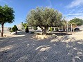 Stunning Mansion with Private Swimming Pool,Sports Court and Barbecue Area in  Dream Villas Alicante