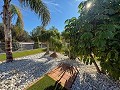 Stunning Mansion with Private Swimming Pool,Sports Court and Barbecue Area in  Dream Villas Alicante