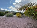 5 Bed  Villa with Guest House in  Dream Villas Alicante