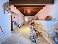 Riesiges Landhaus zum Renovieren in  Dream Villas Alicante