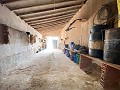 Riesiges Landhaus zum Renovieren in  Dream Villas Alicante
