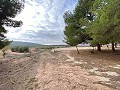 Riesiges Landhaus zum Renovieren in  Dream Villas Alicante