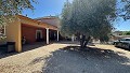Mooie traditionele villa met 6 slaapkamers in Albatera in  Dream Villas Alicante